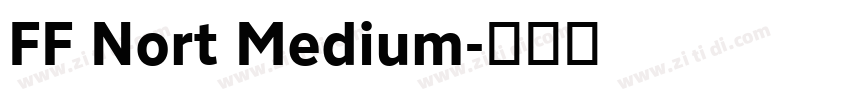 FF Nort Medium字体转换